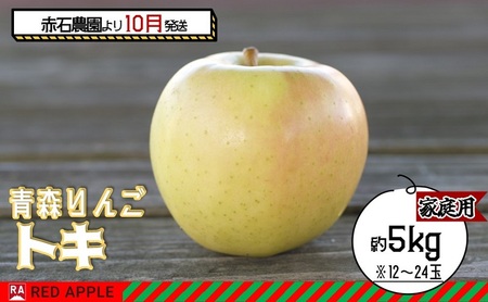 りんご [ 10月発送 ]家庭用 トキ 約 5kg [ 弘前市産 青森りんご ] 果物 フルーツ 食後 デザート 黄色りんご 濃厚な甘み 爽やかな香り 果汁たっぷり