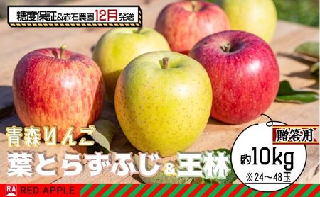 りんご [ 12月発送 ] 13度糖度保証 贈答用 蜜入り 葉とらず ふじ & 王林 約 10kg [ 弘前市産 青森りんご 果物 フルーツ 食後 デザート 旬の果物 旬のフルーツ りんご食べ比べ ]