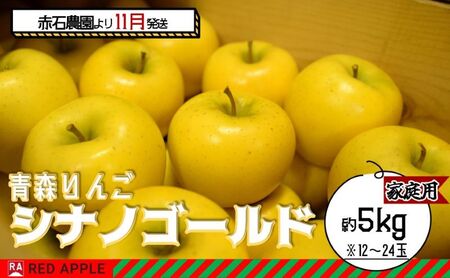 りんご [ 11月発送 ] 家庭用 シナノゴールド 約 5kg [ 弘前市産 青森りんご ] 果物 フルーツ 食後 デザート 旬の果物 旬のフルーツ 果汁が多い 爽やかな風味