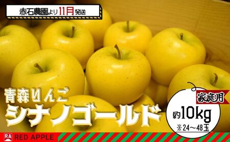 りんご [ 11月発送 ] 家庭用 シナノゴールド 約 10kg [ 弘前市産 青森りんご ] 果物類 林檎 リンゴ