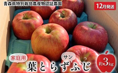 りんご [ 12月発送 ] 家庭用 葉取らず サンふじ 約 3kg 青森県特別栽培農産物認証農園 [ 弘前市産 青森りんご 果物 フルーツ デザート おやつ 旬の果物 旬のフルーツ ]