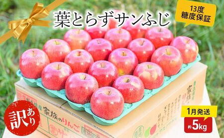 [ 1月発送 ]糖度13度以上 訳あり 家庭用 葉とらず サンふじ 約 5kg [ 弘前市産 青森りんご ] 果物 フルーツ 食後 デザート 青森県産 産地直送