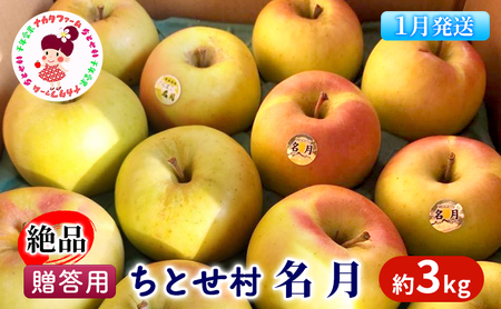 [1月発送]贈答用 絶品 ちとせ村 名月 約3kg[弘前市産・青森りんご 果物類 林檎 リンゴ ]