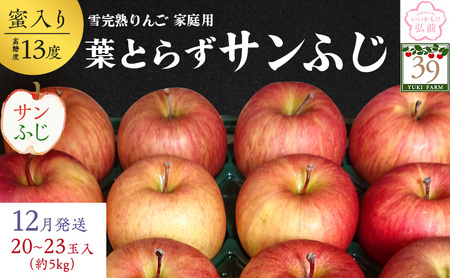 りんご [ 数量限定 ]12月発送 雪完熟 自然 葉とらず 蜜入り 糖度13度以上 家庭用 サンふじ 約 5kg 20〜23個[ 弘前市産 青森りんご ]