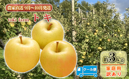 [9月〜10月 クール便発送]toki farm 家庭用 トキ 約3kg 訳あり[弘前市産・青森りんご]