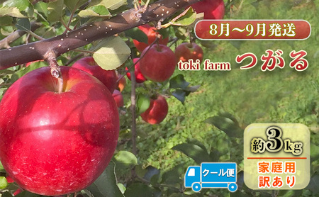 [8月〜9月クール便発送]toki farm 家庭用 つがる 約3kg 訳あり[弘前市産・青森りんご]