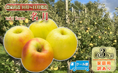 [10月〜11月 クール便発送]toki farm 家庭用 名月 約3kg 訳あり[弘前市産・青森りんご]