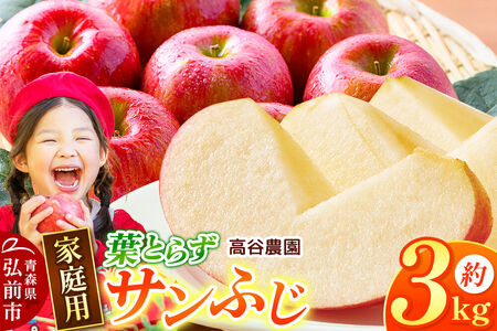 [26年12月発送]りんご 高谷農園[家庭用]葉とらずサンふじ 約3kg [青森産 りんご サンふじ 葉とらず アップル 林檎 リンゴ 果物 果実 赤色 美味 青森県 弘前市]