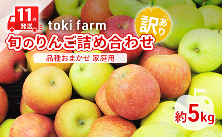 [11月発送]toki farm 旬のりんご詰め合わせ 家庭用 約5kg 品種おまかせ 訳あり[弘前市産・青森りんご]