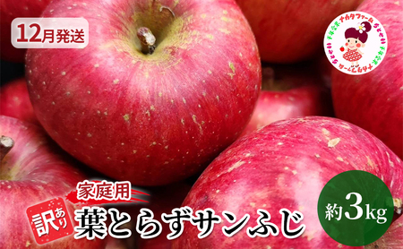 [12月発送]訳あり 家庭用 ちとせ村 葉とらずサンふじ 約3kg[弘前市産・青森りんご]