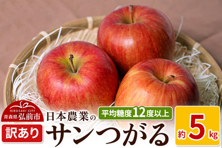 りんご [先行受付]平均糖度12度以上! サンつがる 約5kg 訳あり クール便