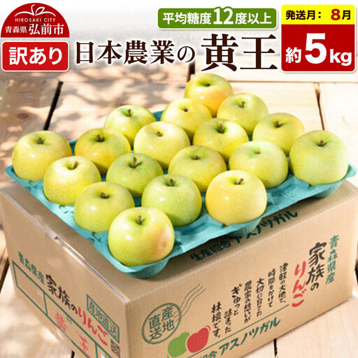 【26年8月クール便発送】りんご 黄王【訳あり】約5kg 平均糖度12度以上 青森県産 果物 フルーツ 林檎 リンゴ くだもの 不揃い 規格外
