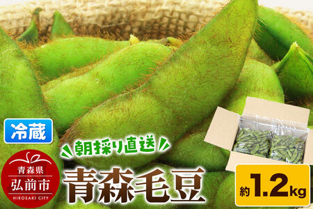 【26年9月下旬～発送】【朝採り直送 令和8年度】青森毛豆 約1.2kg 青森・津軽の秋を味わう栗のような濃厚なうまみの枝豆【先行受付】 産地直送 おつまみ 新鮮 えだまめ 野菜 予約