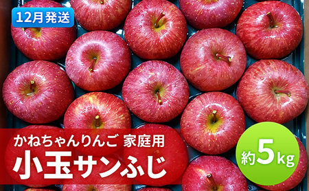 [12月発送]かねちゃんりんご 家庭用 小玉 サンふじ約5kg 食べきりサイズ [弘前市産・青森りんご]