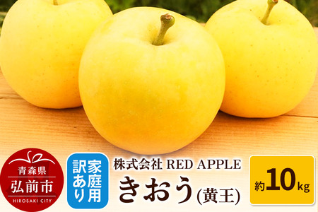 【レビューキャンペーン】りんご【訳あり】家庭用 きおう（黄王）約10kg