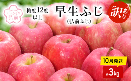 りんご [ 10月発送 ]( 糖度12度以上 ) 訳あり 早生ふじ ( 弘前ふじ ) 約 3kg [ 弘前市産 青森りんご ]