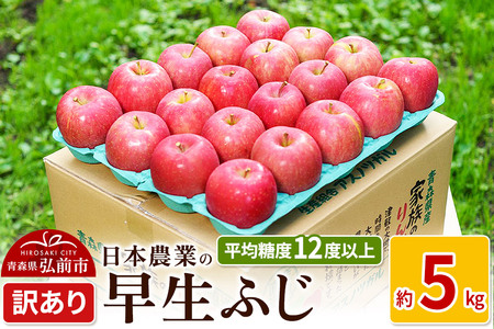 りんご [先行受付]平均糖度12度以上! 早生ふじ 約5kg 訳あり