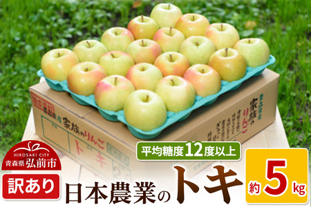 りんご [先行受付]平均糖度12度以上! トキ 約5kg 訳あり