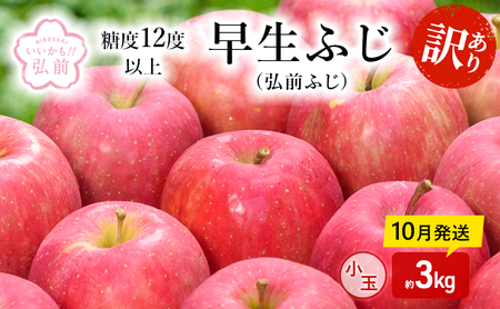 りんご [ 10月発送 ]( 糖度12度以上 ) 訳あり 早生ふじ ( 弘前ふじ ) 小玉りんご 約 3kg [ 弘前市産 青森りんご ]