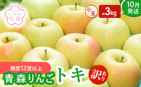 りんご [ 10月発送 ]( 糖度12度以上 ) 訳あり トキ 小玉りんご 約 3kg [ 弘前市産 青森りんご ]