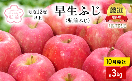 りんご [ 10月発送 ]( 糖度12度以上 ) 1番手限定 贈答用 早生ふじ ( 弘前ふじ ) 約 3kg [ 弘前市産 青森りんご ]