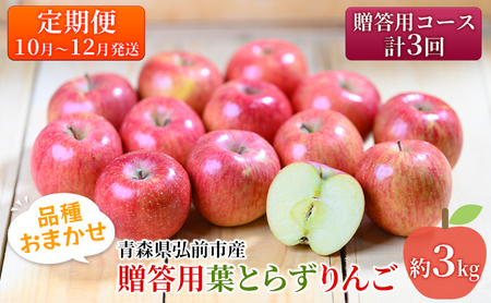 りんご [10月〜12月発送 りんご定期便 ]糖度13度以上 贈答用 葉とらずりんご 約 3kg × 3回 贈答用コース[ 弘前市産 青森りんご ]