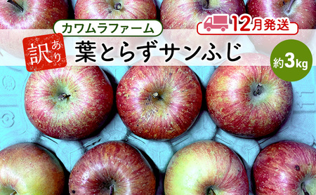 りんご [12月発送]カワムラファーム 訳あり 葉とらず サンふじ 約3kg [弘前市産 青森りんご] 青森 弘前