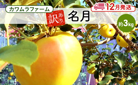 りんご [12月発送]カワムラファーム 訳あり 名月 約3kg [弘前市産 青森りんご] 青森 弘前