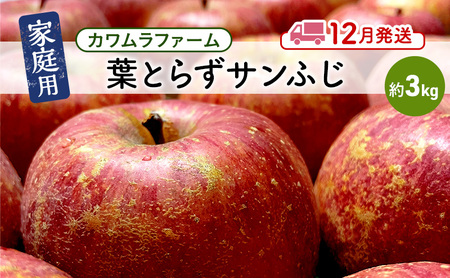 りんご [12月発送]カワムラファーム 家庭用 葉とらず サンふじ 約3kg [弘前市産 青森りんご] 青森 弘前