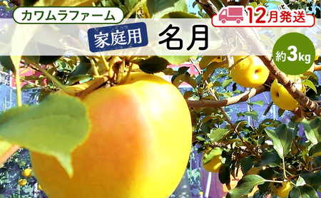 りんご [12月発送]カワムラファーム 家庭用 名月 約3kg [弘前市産 青森りんご] 青森 弘前