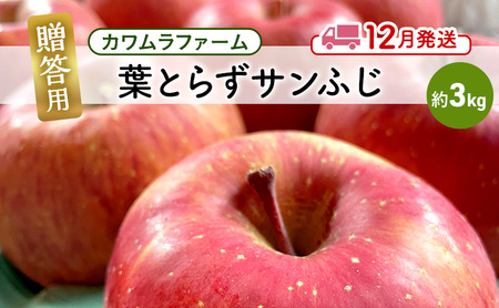 りんご [12月発送]カワムラファーム 贈答用 葉とらず サンふじ 約3kg [弘前市産 青森りんご] 青森 弘前