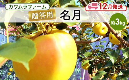 りんご [12月発送]カワムラファーム 贈答用 名月 約3kg [弘前市産 青森りんご] 青森 弘前