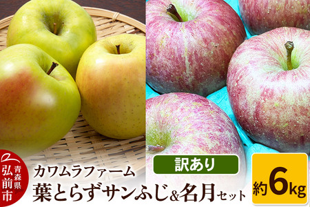 yr[Ly[zy25N11`z tƂ炸 Tӂ Zbg 6kg Jt@[ 󂠂ystz X ʕ t[c ь S  s KiO