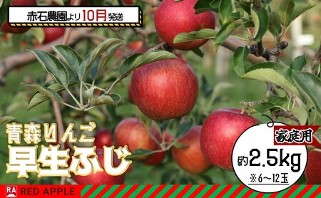 りんご [ 10月発送 ] 家庭用 早生ふじ 約 2.5kg [弘前市産 青森りんご]