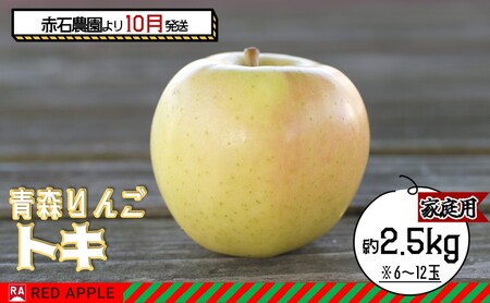 りんご [ 10月発送 ] 家庭用 トキ 約 2.5kg [ 弘前市産 青森りんご ]