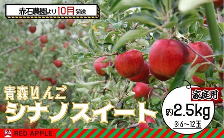 りんご [ 10月発送 ] 家庭用 シナノスイート 約 2.5kg [ 弘前市産 青森りんご ]