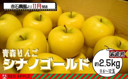 りんご [ 11月発送 ] 家庭用 シナノゴールド 約 2.5kg [ 弘前市産 青森りんご ] 果物 フルーツ 食後 デザート 果汁たっぷり ジューシー 旬の果物
