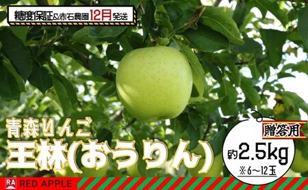 りんご [ 12月発送 ] 13度糖度保証 贈答用 王林 約 2.5kg [ 弘前市産 青森りんご ]