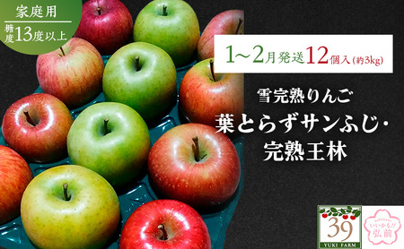 りんご 【 数量限定 】1～2月配送 雪完熟りんご 糖度13度以上 家庭用 葉とらずサンふじ ・ 完熟 王林 12個入り【 弘前市産 青森りんご  果物類 林檎 リンゴ  】