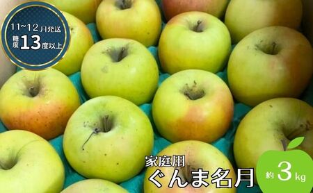 りんご [11〜12月発送][訳あり]家庭用 ぐんま名月 約3kg 糖度13度以上(糖度証明書付き)[ 弘前市産 青森りんご ]