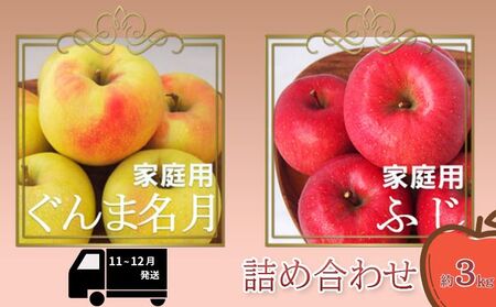 りんご [11〜12月発送][訳あり]家庭用 ぐんま名月 & サンふじ 詰め合わせ 約3kg 糖度13度以上(糖度証明書付)[ 弘前市産 青森りんご ]