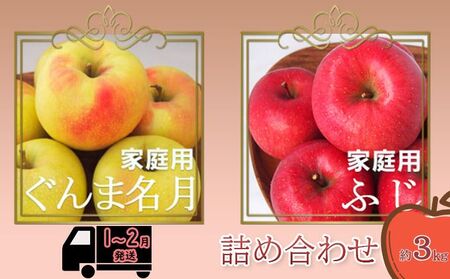 りんご [1〜2月発送][訳あり]家庭用 ぐんま名月 & サンふじ 詰め合わせ 約3kg 糖度13度以上(糖度証明書付)[ 弘前市産 青森りんご ]