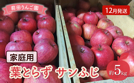 りんご [ 12月発送 ] 前田りんご園 家庭用 葉とらず サンふじ 約 5kg [ 弘前市産 青森りんご ]