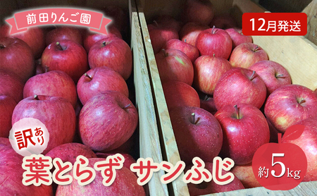 りんご [ 12月発送 ] 前田りんご園 訳あり 葉とらず サンふじ 約 5kg [ 弘前市産 青森りんご ]