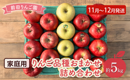 りんご [ 11月 〜 12月発送 ] 前田りんご園 家庭用 りんご 品種おまかせ詰め合わせ 約 5kg [ 弘前市産 青森りんご ]