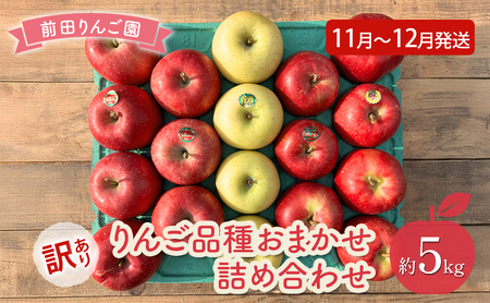 りんご [ 11月 〜 12月発送 ] 前田りんご園 訳あり りんご 品種おまかせ詰め合わせ 約 5kg [ 弘前市産 青森りんご ]