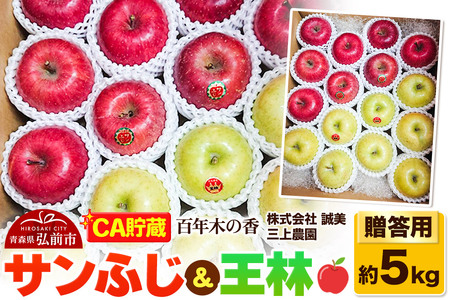 y26N4z yCAzp SN؂̍ O_ Tӂ 5kg (14`20ʒx)ystz X ʕ t[c ь S  \