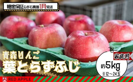 りんご 【 1月発送 】 13度糖度保証 家庭用 葉とらず ふじ 約 5kg 【 弘前市産 青森りんご  果物類 林檎 リンゴ  】