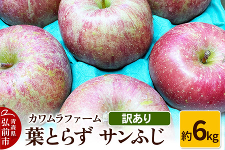 yr[Ly[zy25N11`z tƂ炸 Tӂ 6kg Jt@[ 󂠂ystz X ʕ t[c ь S  s KiO \