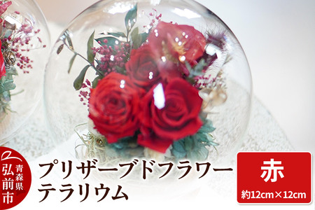 プリザーブドフラワー テラリウム[赤]約12cm×約12cm 1個